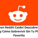 reddit down Reddit Caído! Descubre Qué Está Pasando y Cómo Sobrevivir Sin Tu Plataforma Favorita