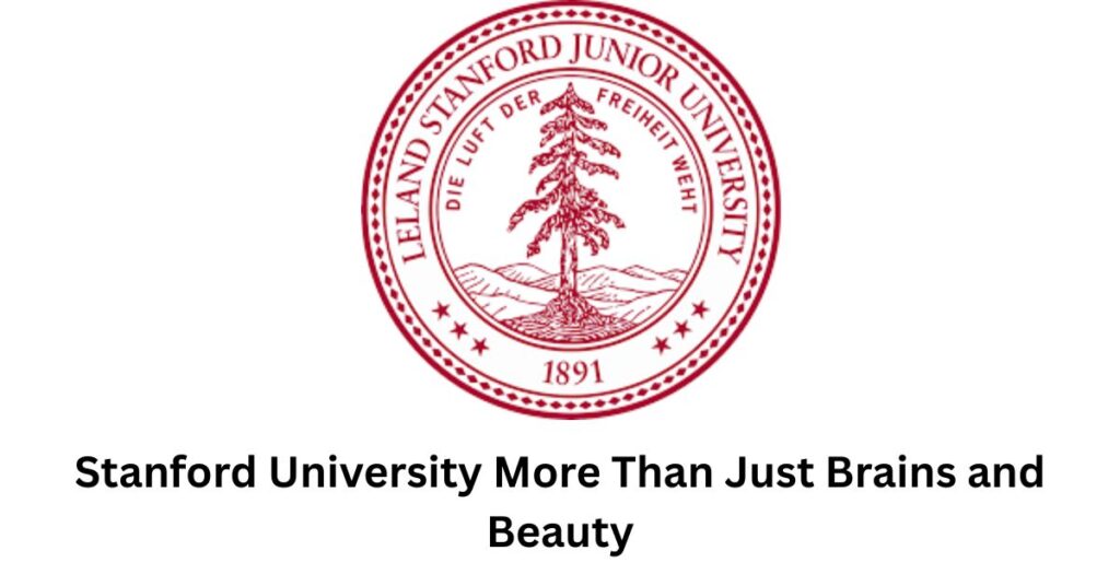stanford university