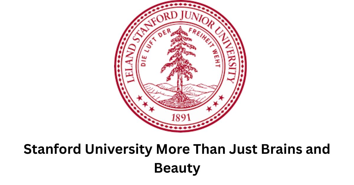 stanford university